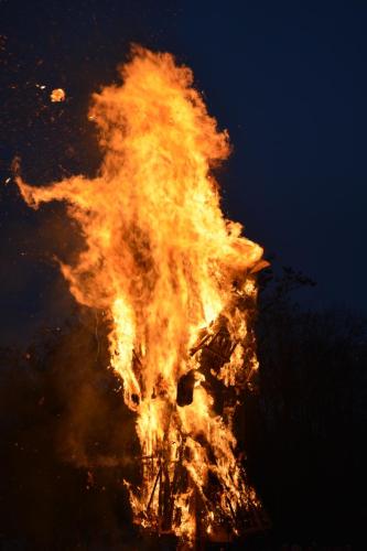 DSC 0519
